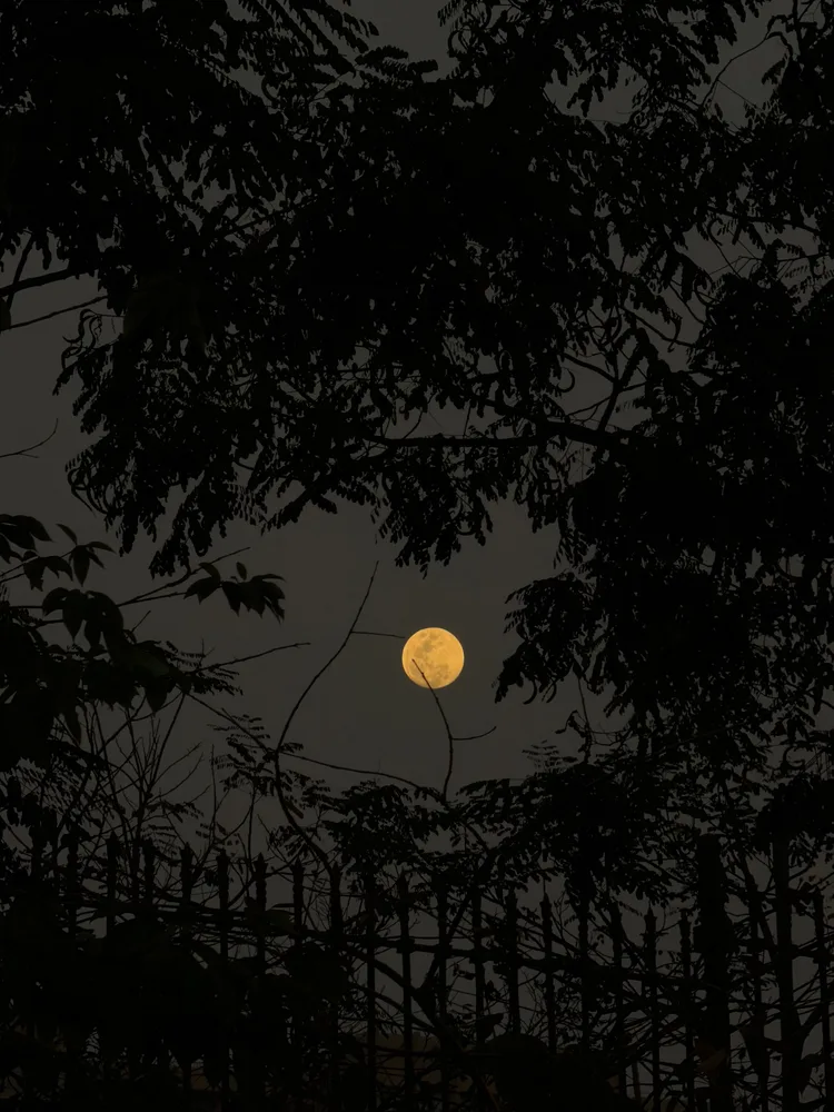 A photograph from Rahul’s journal